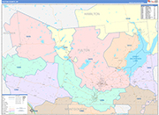 Fulton Wall Map Color Cast Style