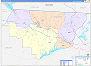Gadsden County Wall Map Color Cast Style