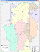 Gasconade County Wall Map Color Cast Style