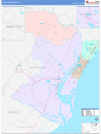 Georgetown County Wall Map Color Cast Style