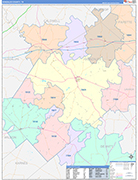 Gonzales County Wall Map Color Cast Style