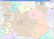 Greene County Wall Map Color Cast Style