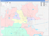 Gregg County Wall Map Color Cast Style