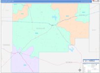 Guadalupe County Wall Map Color Cast Style