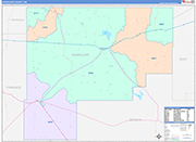 Guadalupe County Wall Map Color Cast Style