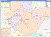 Guadalupe County Wall Map Color Cast Style