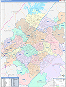 Gwinnett County Wall Map Color Cast Style