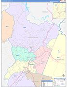 Habersham County Wall Map Color Cast Style