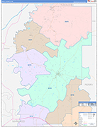 Hale County Wall Map Color Cast Style
