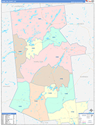 Hamilton Wall Map Color Cast Style