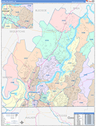 Hamilton County Wall Map Color Cast Style