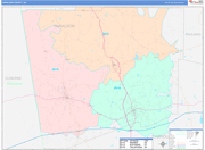 Haralson County Wall Map Color Cast Style