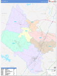 Hays County Wall Map Color Cast Style