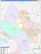 Hays County Wall Map Color Cast Style