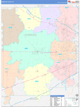 Hendricks County Wall Map Color Cast Style