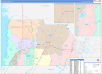 Hernando County Wall Map Color Cast Style