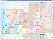 Hernando County Wall Map Color Cast Style