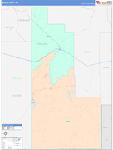Hidalgo County Wall Map Color Cast Style