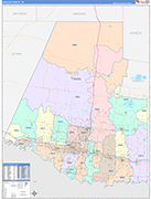 Hidalgo County Wall Map Color Cast Style