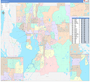 Hillsborough County Wall Map Color Cast Style