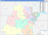 Hinds County Wall Map Color Cast Style
