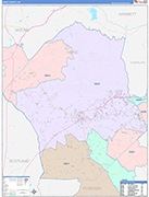 Hoke County Wall Map Color Cast Style