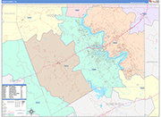 Hood County Wall Map Color Cast Style