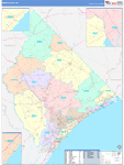 Horry County Wall Map Color Cast Style