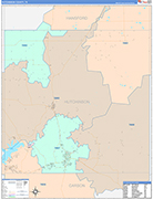 Hutchinson County Wall Map Color Cast Style