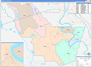 Iberville County Wall Map Color Cast Style