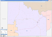 Irion County Wall Map Color Cast Style