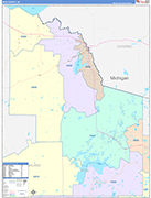 Iron County Wall Map Color Cast Style