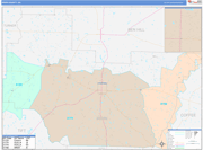 Irwin County Wall Map Color Cast Style