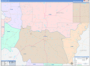 Irwin County Wall Map Color Cast Style
