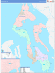 Island County Wall Map Color Cast Style