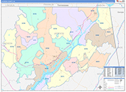 Jackson County Wall Map Color Cast Style