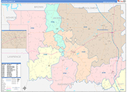 Jackson Wall Map Color Cast Style