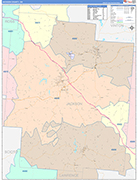 Jackson County Wall Map Color Cast Style