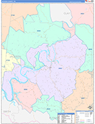 Jackson Wall Map Color Cast Style