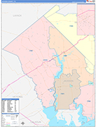 Jackson County Wall Map Color Cast Style
