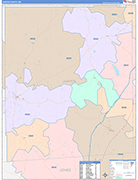 Jasper County Wall Map Color Cast Style