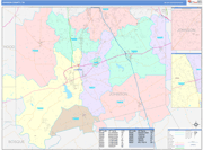 Johnson County Wall Map Color Cast Style