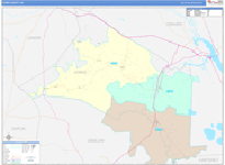 Jones County Wall Map Color Cast Style