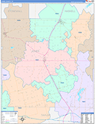 Jones County Wall Map Color Cast Style