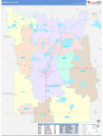 Kandiyohi County Wall Map Color Cast Style