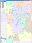 Kandiyohi County Wall Map Color Cast Style