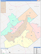 Karnes County Wall Map Color Cast Style