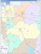 Kaufman County Wall Map Color Cast Style