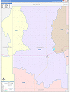 Kearny County Wall Map Color Cast Style