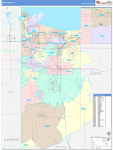 Lake County Wall Map Color Cast Style